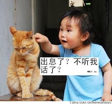 ͼƬ´ڴ򿪲鿴
