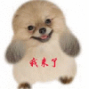 ͼƬ´ڴ򿪲鿴